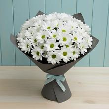 Букет цветов из:  Хризантемы в Октябрьском Удмуртской республики