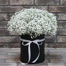 Цветочная композиция из Гипсофила в шляпной коробке в Октябрьском Удмуртской республики